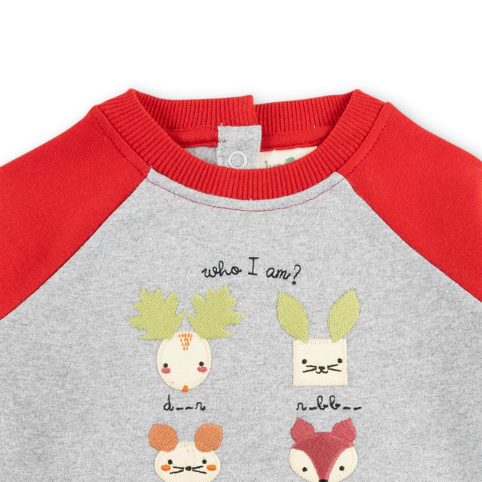 "Girls Animal Puzzle Sweatshirt with Contrast Raglan Sleeves – 'Who Am I?' Design"