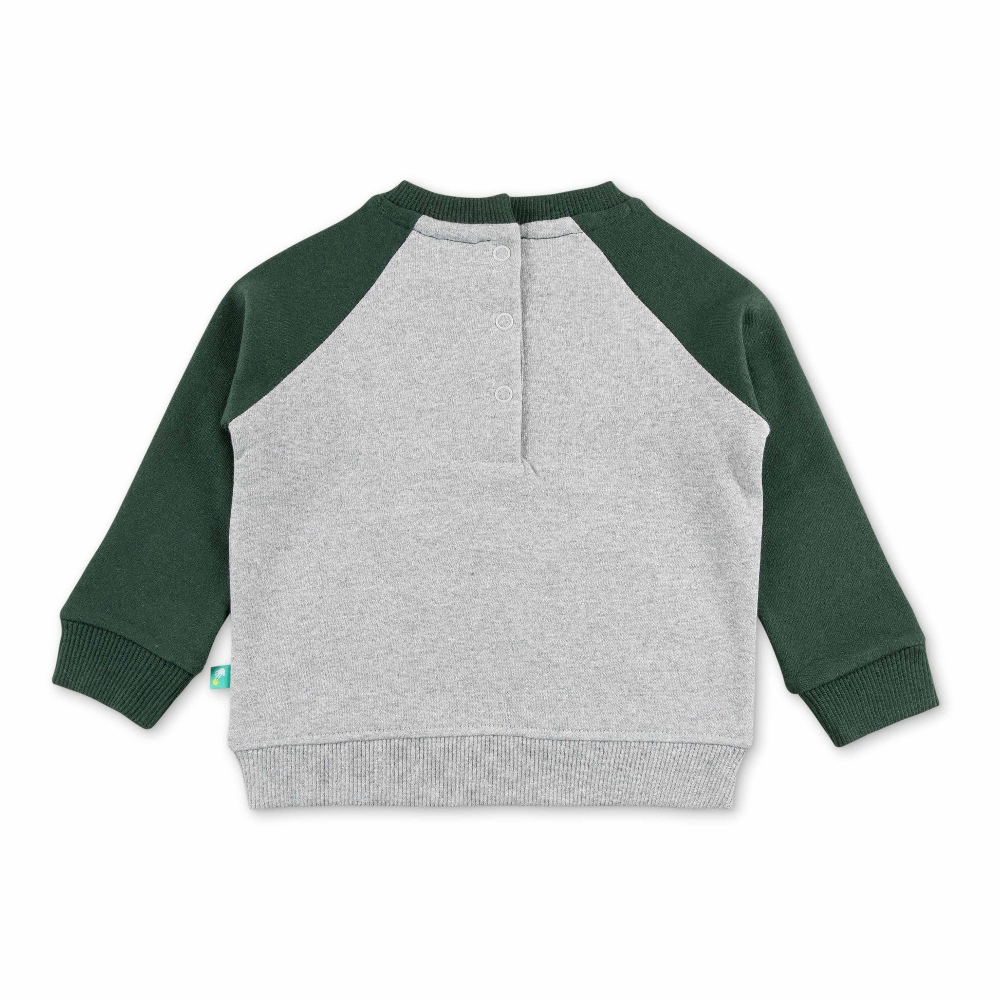 "Girls Animal Puzzle Sweatshirt with Contrast Raglan Sleeves – 'Who Am I?' Design"