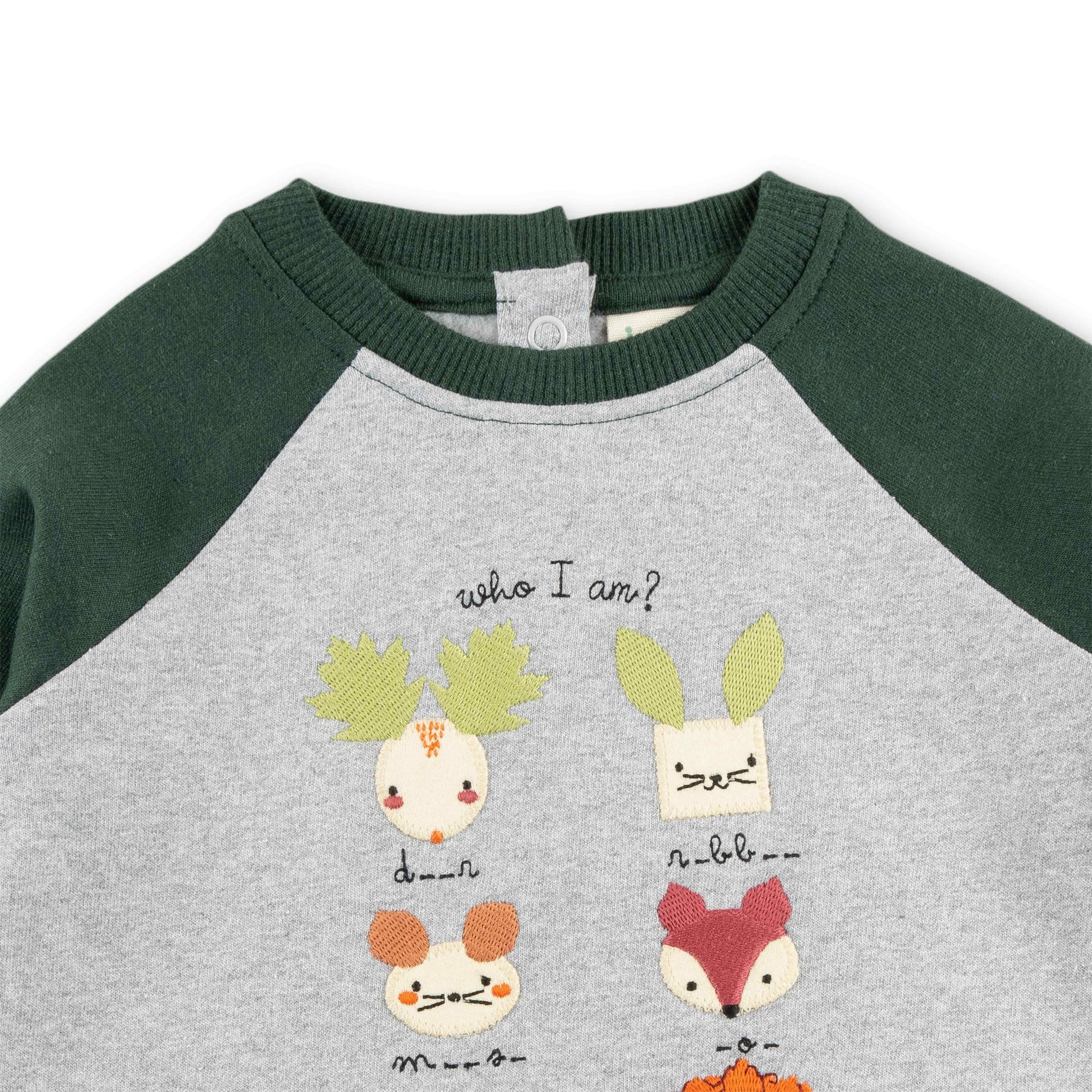 "Girls Animal Puzzle Sweatshirt with Contrast Raglan Sleeves – 'Who Am I?' Design"