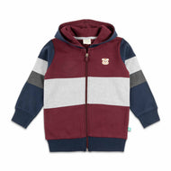 "Boys' Maroon, Navy and Grey Colorblock Hoodie with Bear Patch and Zip Closure"