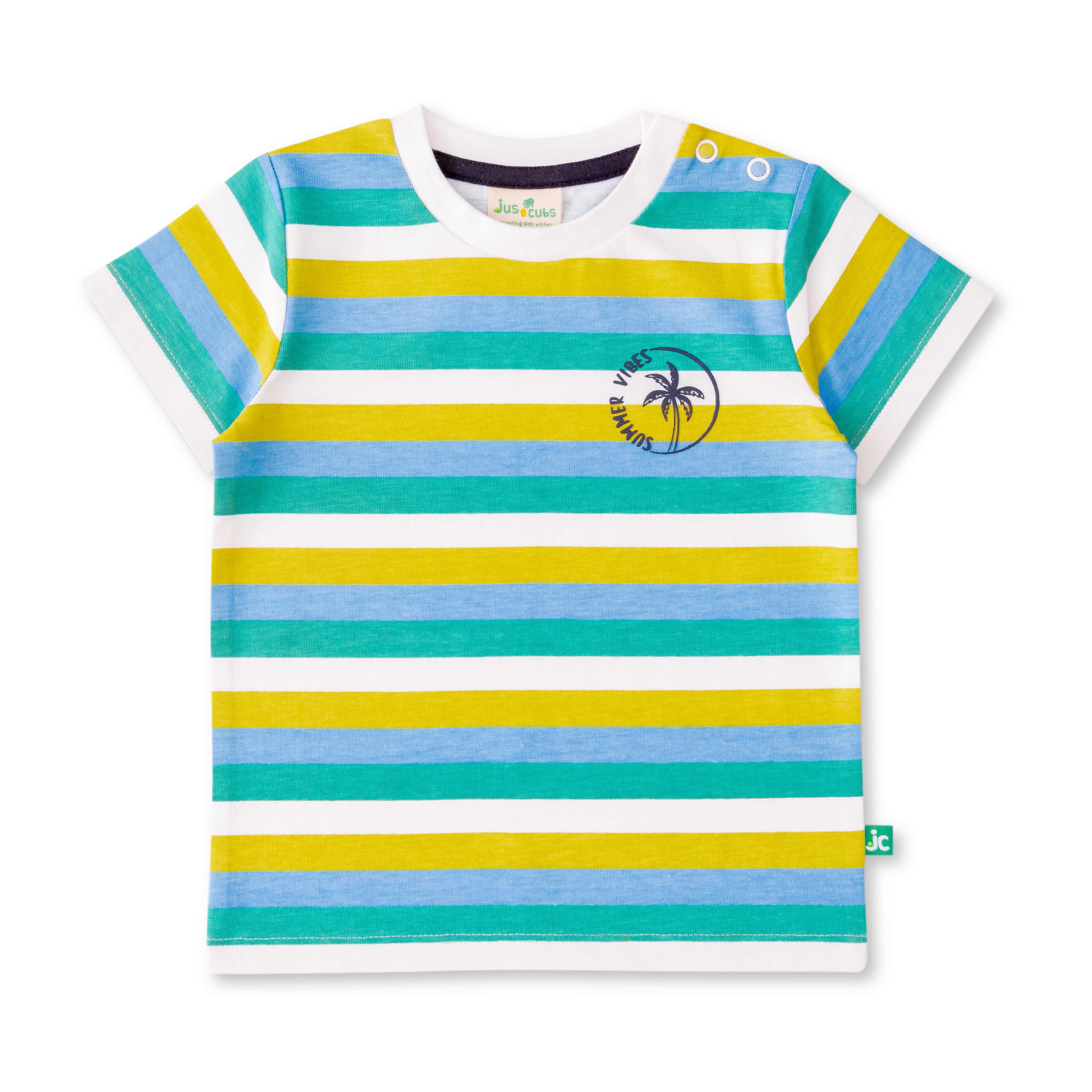 Baby Boys Striped & Summer Vibs Printed T Shirt
