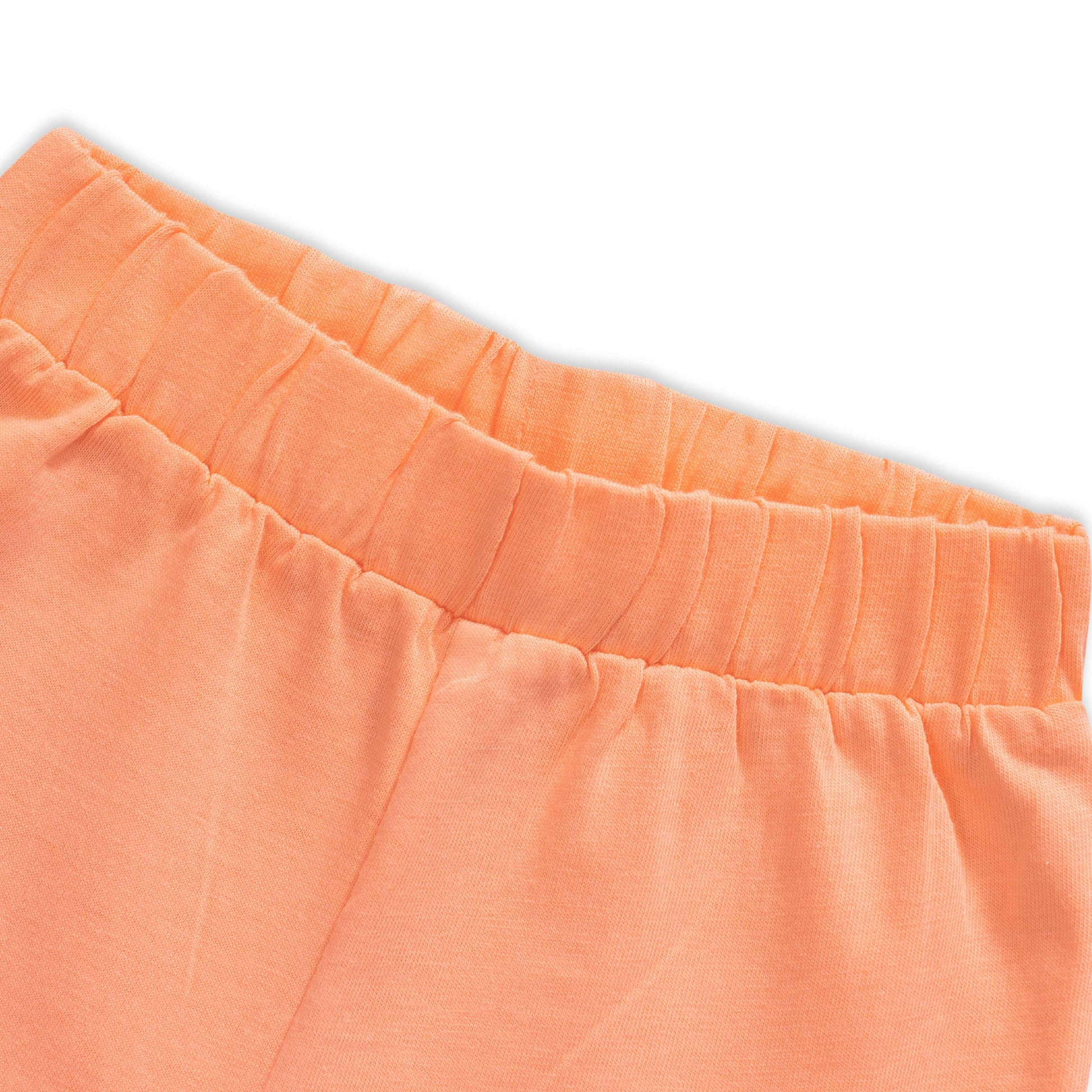 Baby Girls' Orange "In the Forest" Ruffle Sleeve T-Shirt & Shorts Set – Adorable Summer Outfit