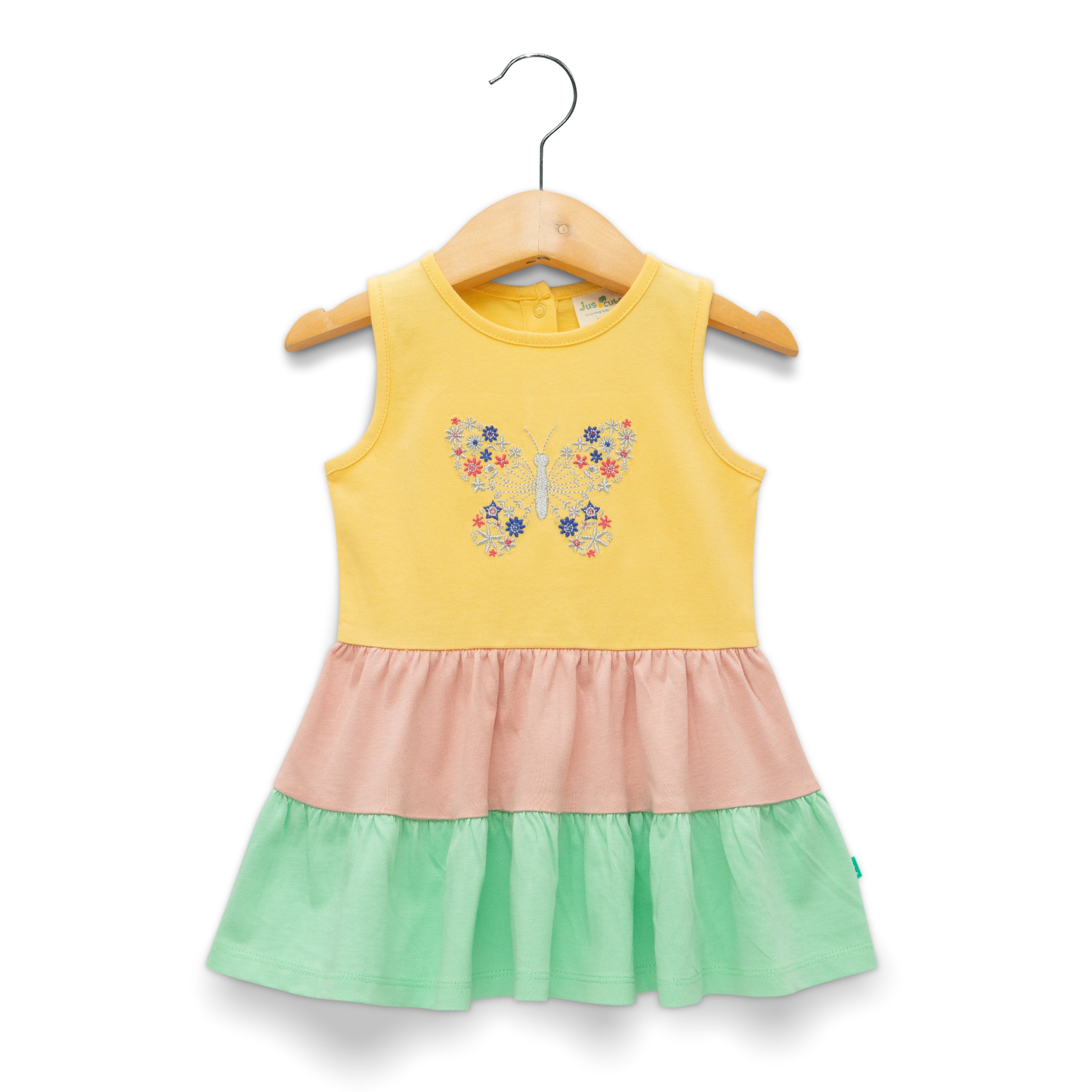 Baby Girls Embroidery Fit & Flare Dress