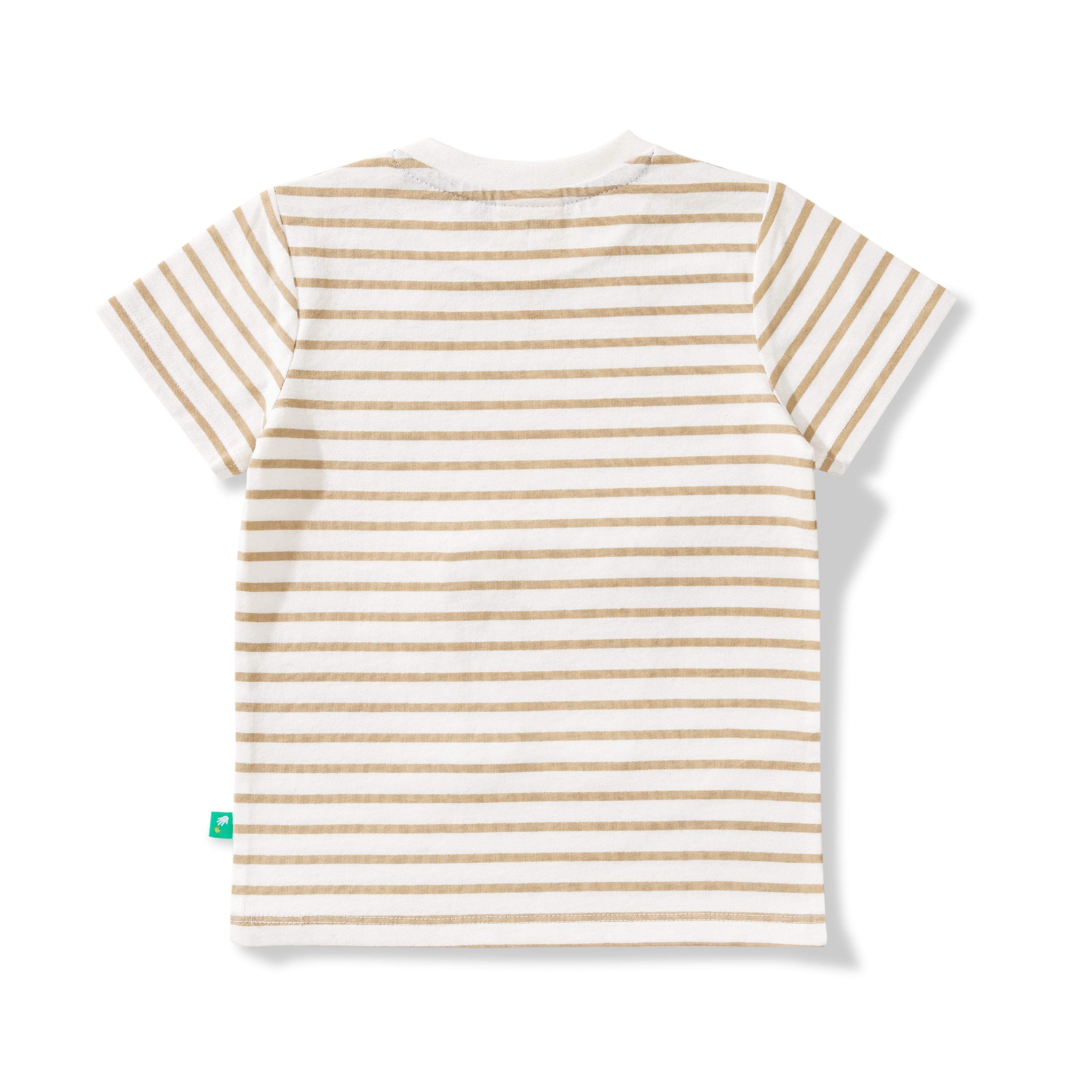 Baby Boys Striped & Graphic Printed T Shirt & Solid Pant Set