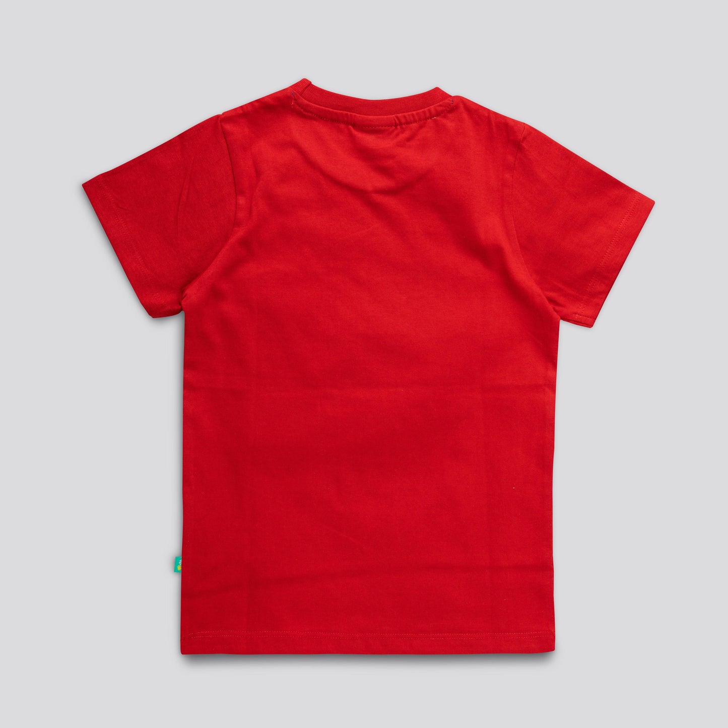 YOUNG BOYS DINO GRAPHIC PRINTED T SHIRT - Juscubs