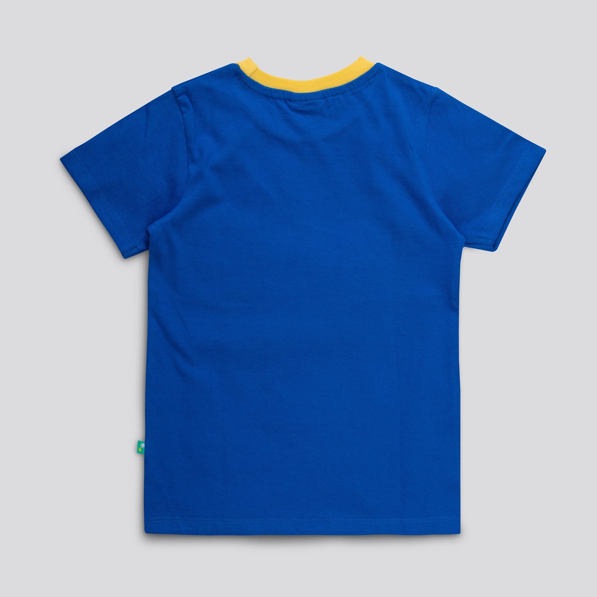 Boys Dino Printed T-Shirt