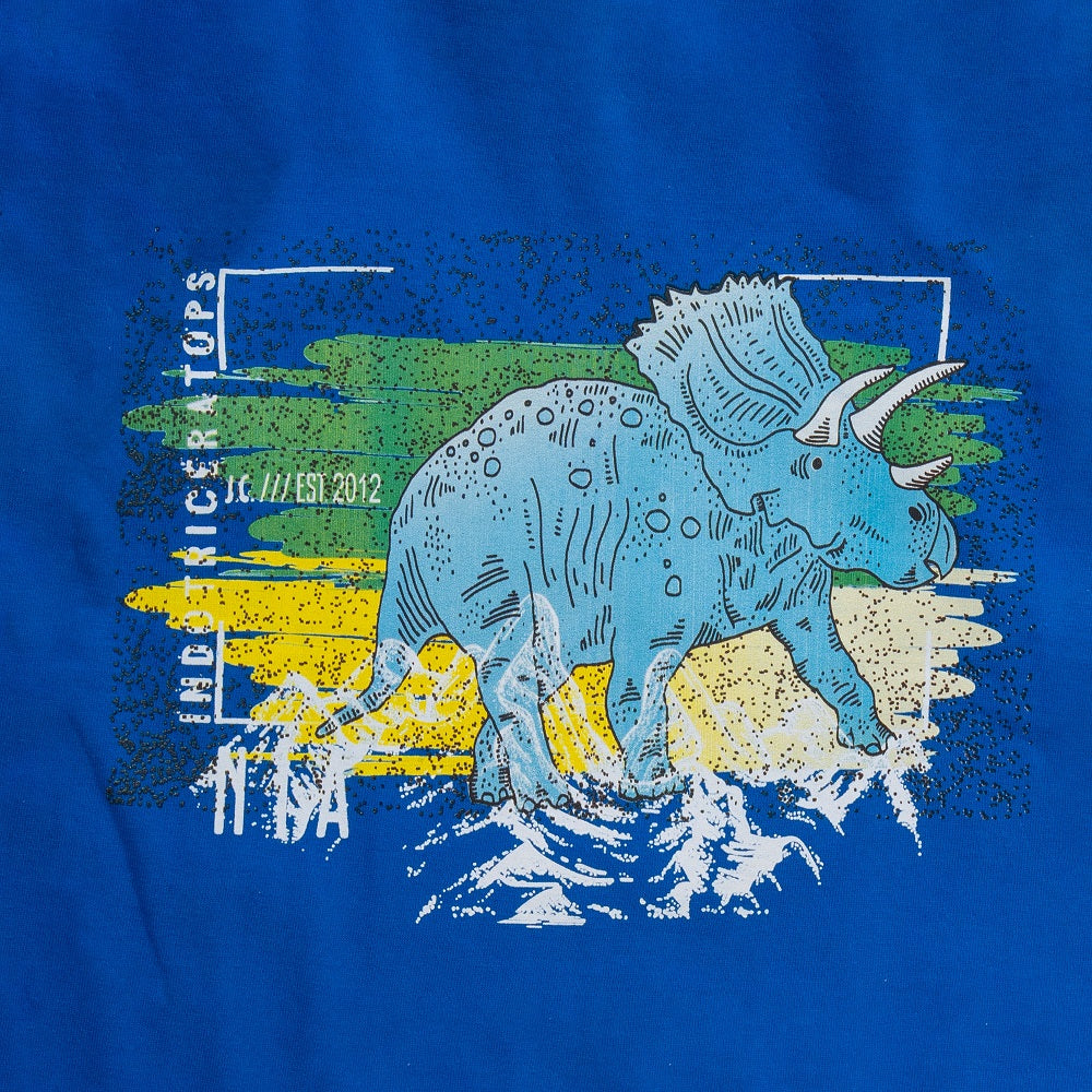 Boys Dino Printed T-Shirt