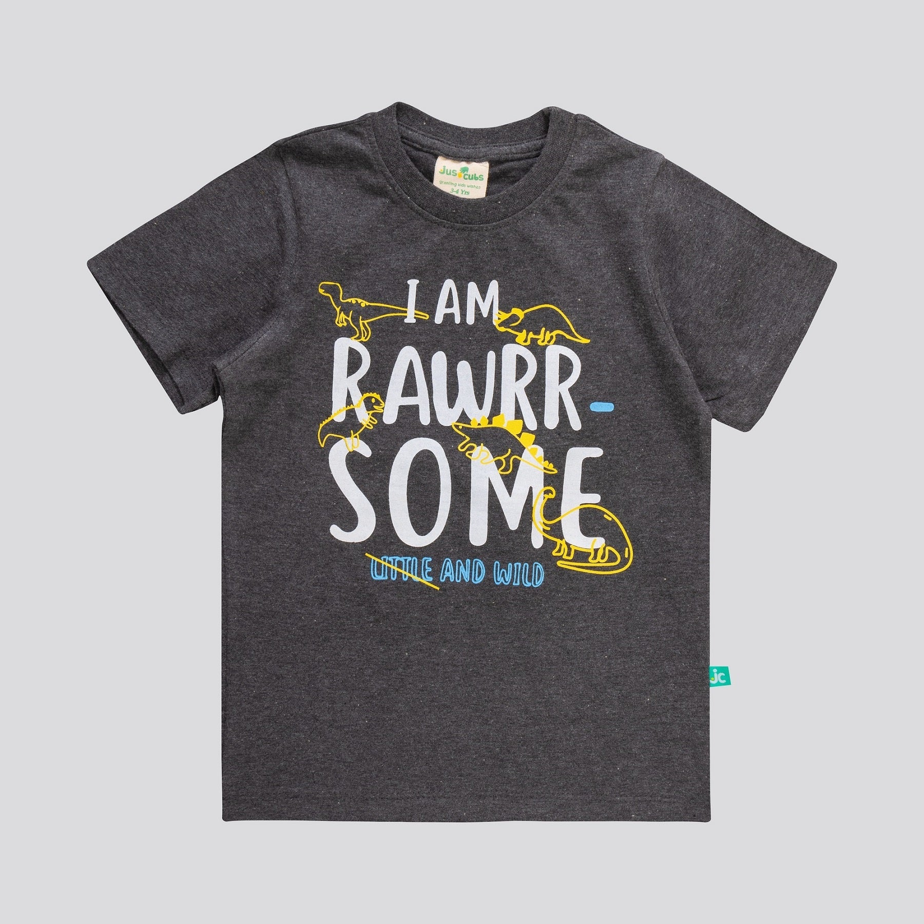 Boys I Am Rawrr Some Printed T-Shirt