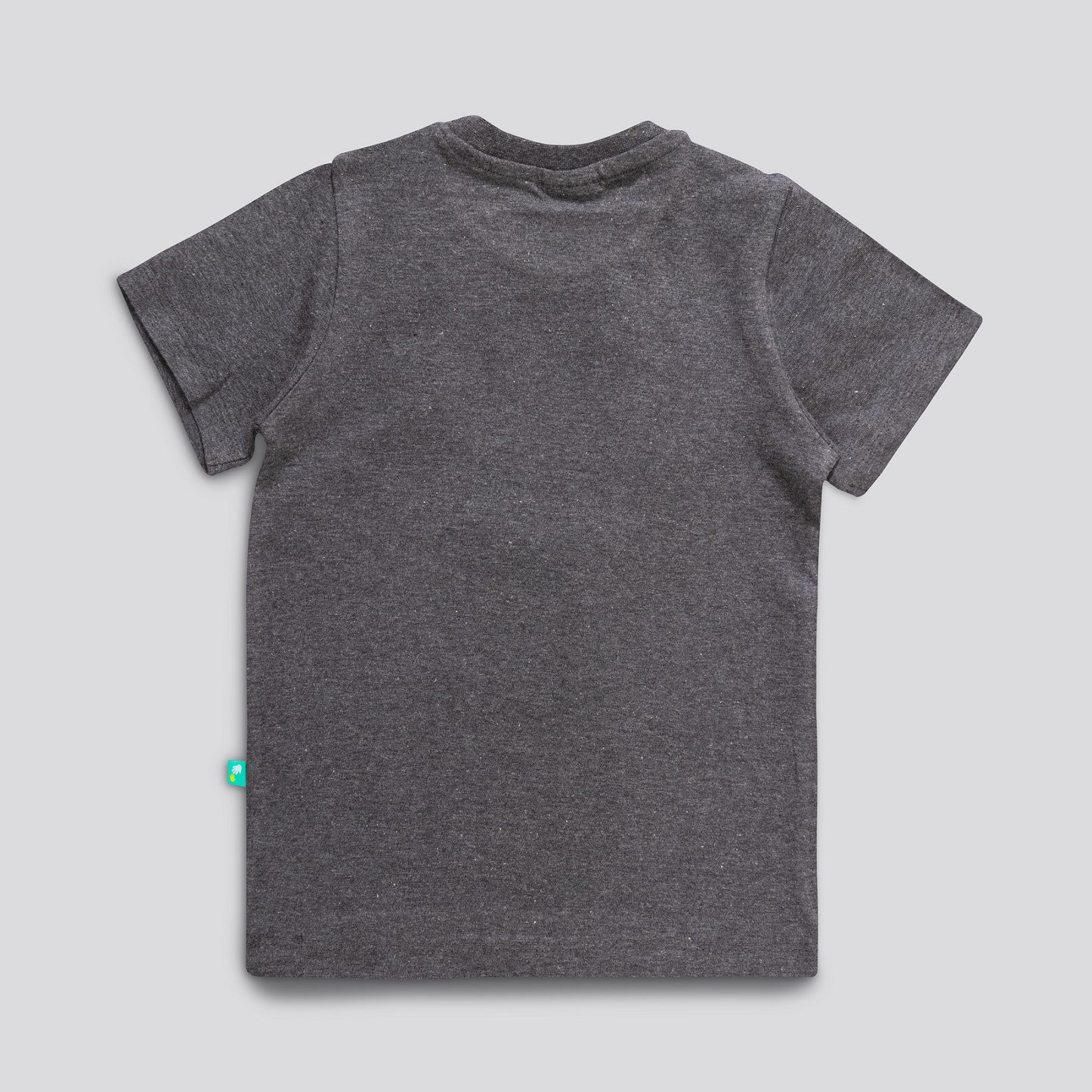 Boys I Am Rawrr Some Printed T-Shirt