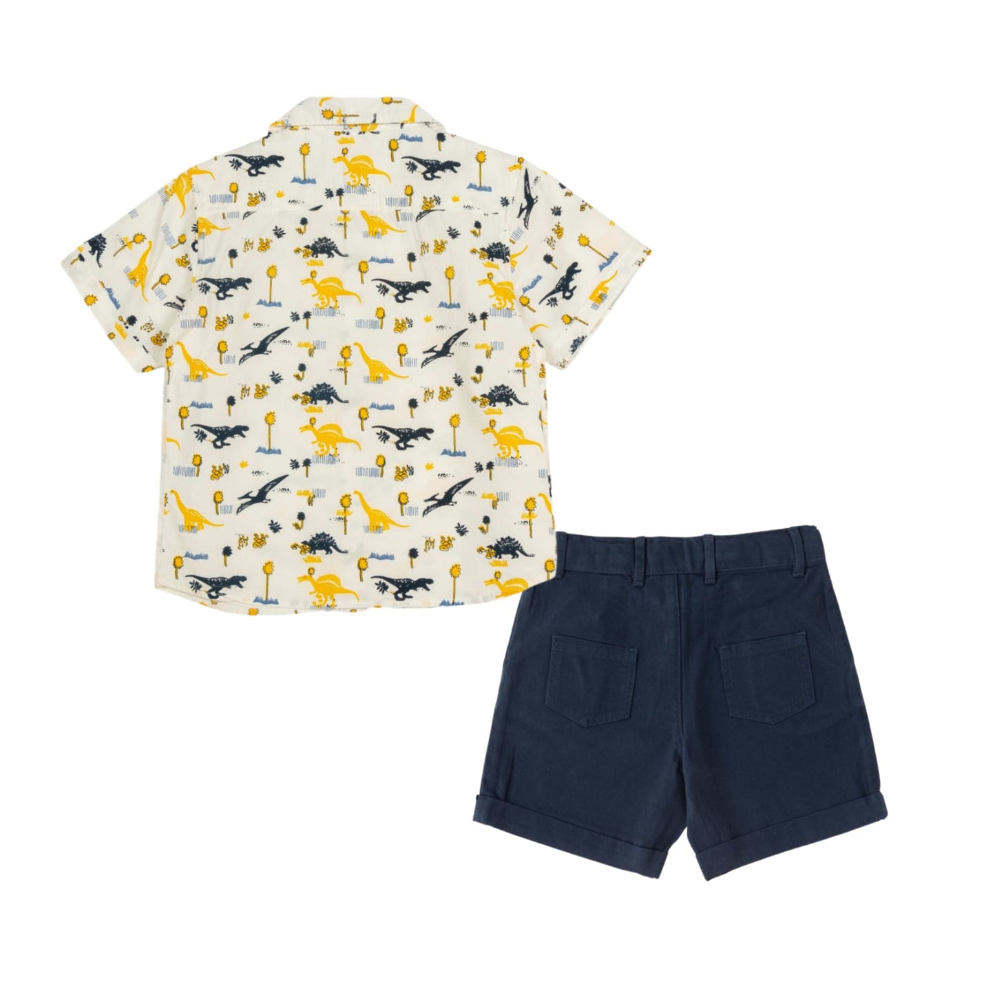 Boys Shirt & Solid Shorts Set