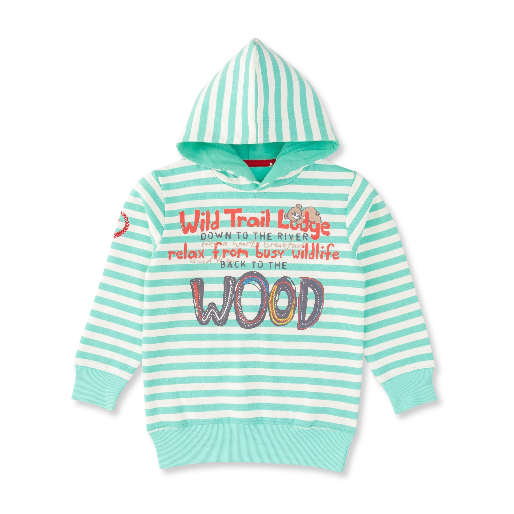 Boys' Striped Hooded Sweatshirt – "Wild Trail Lodge" Graphic Print, Mint Green & White