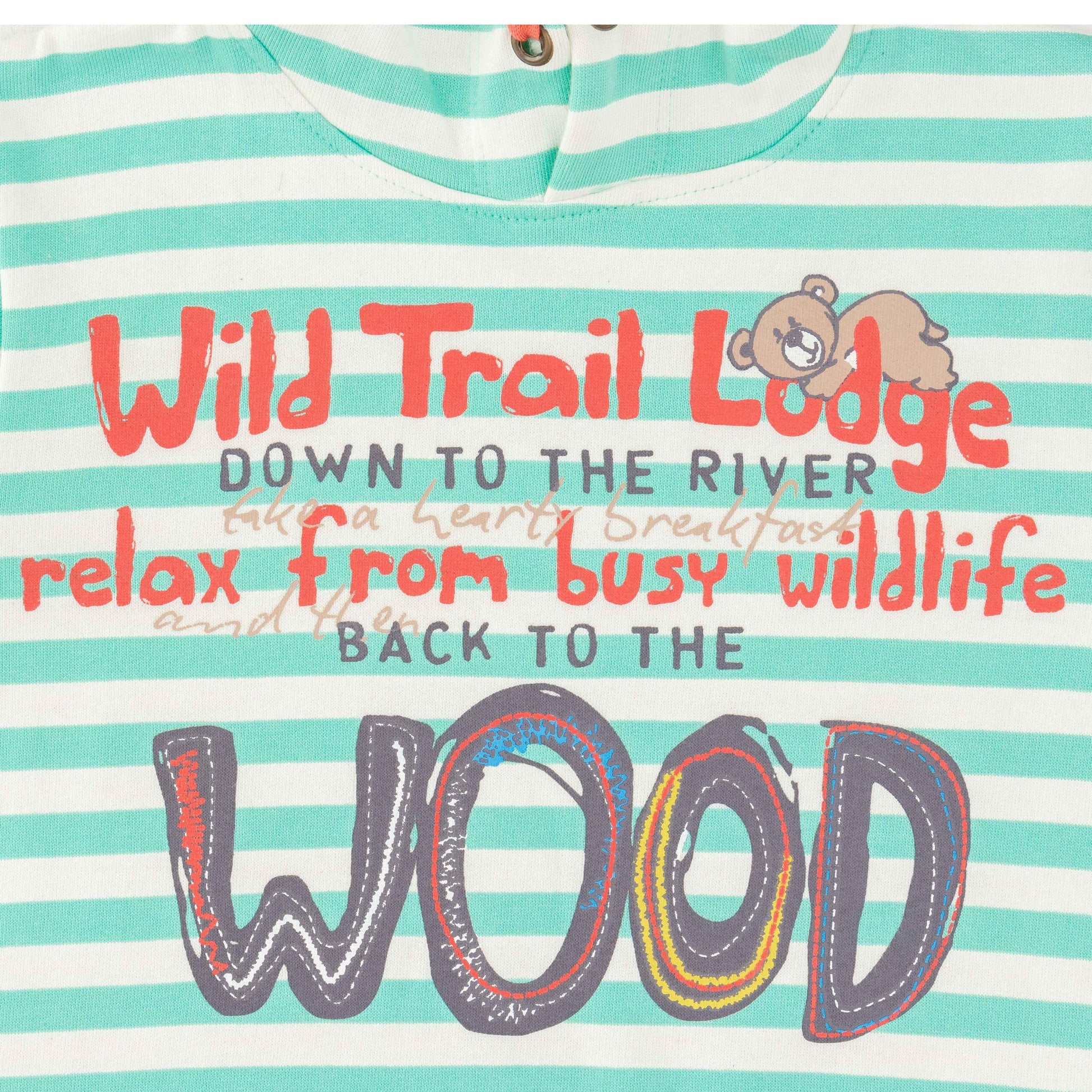 Boys' Striped Hooded Sweatshirt – "Wild Trail Lodge" Graphic Print, Mint Green & White