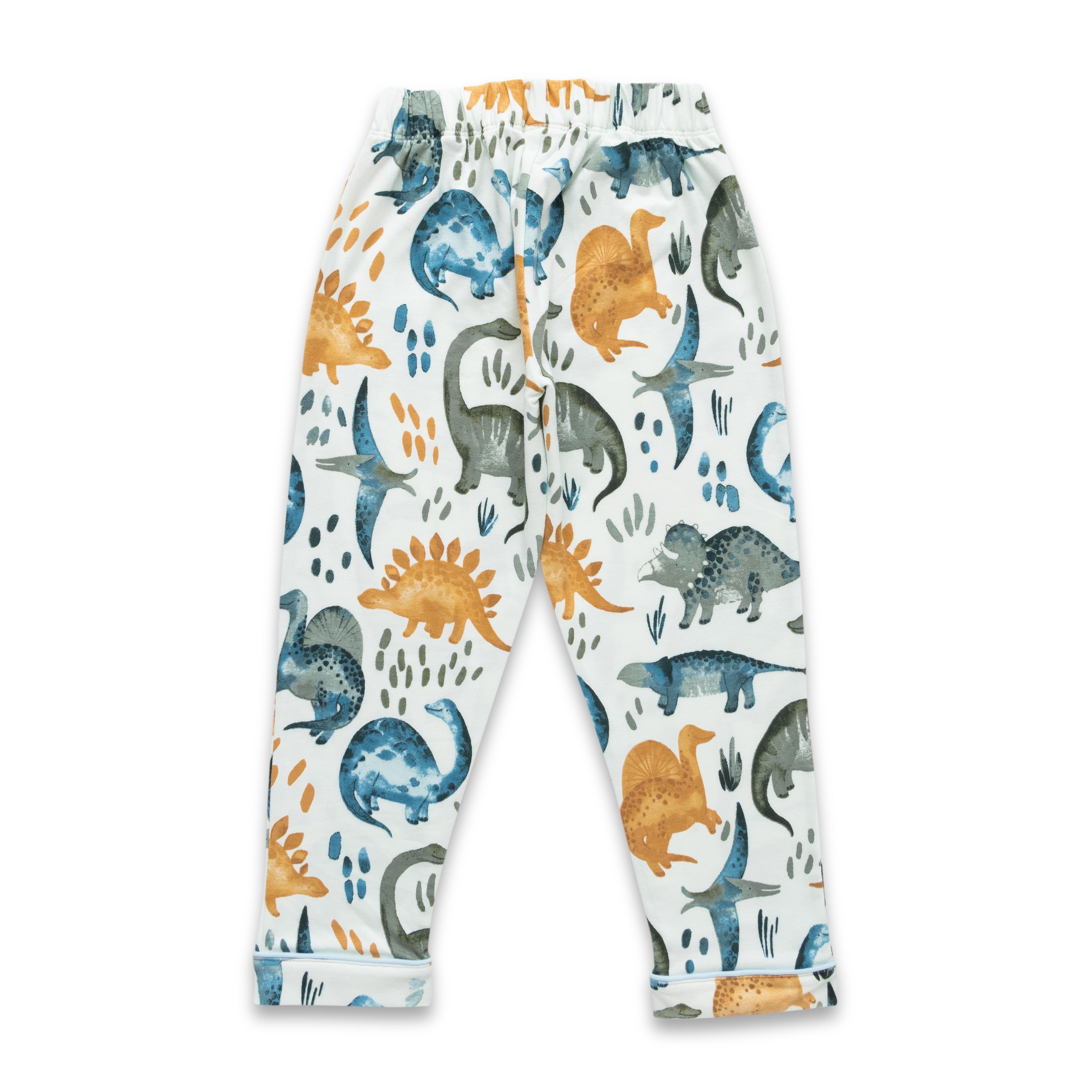 Boys Conversational Printed Pure Cotton Nightsuit Sets