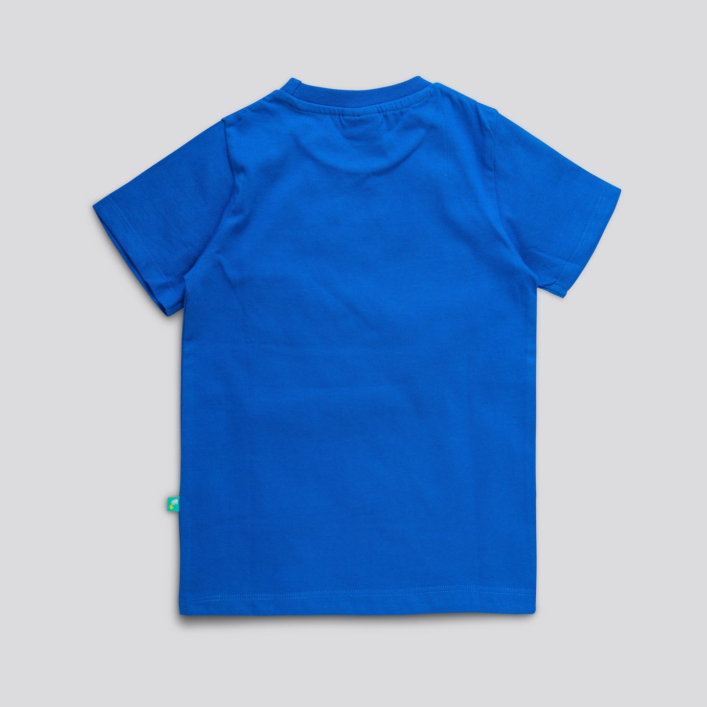 YOUNG BOYS DINO GRAPHIC PRINTED T SHIRT - Juscubs