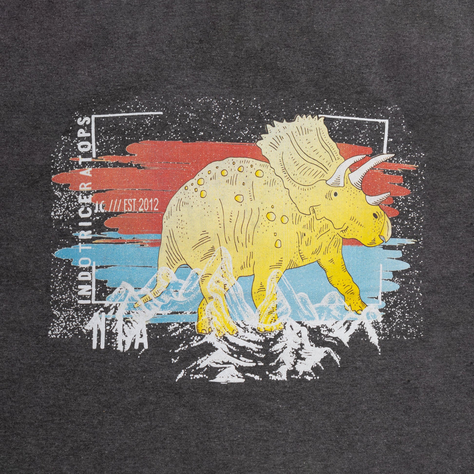 YOUNG BOYS RINO GRAPHIC PRINTED T SHIRT