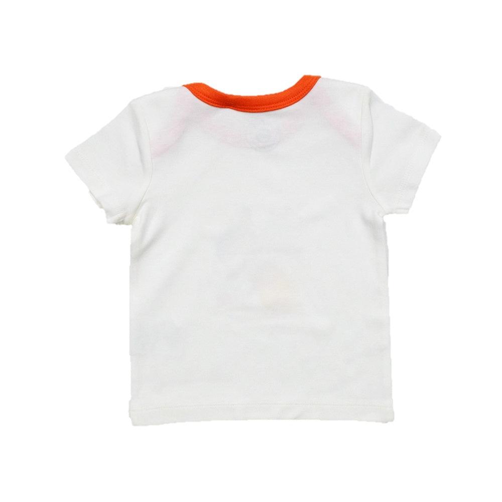 Boys  Stripe-Solid-T-Shirt Pack of 2